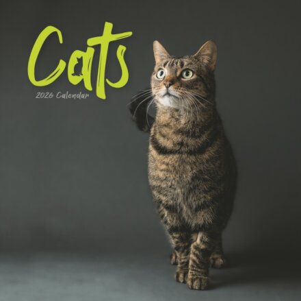 Cats Wiro Wall Calendar 2026
