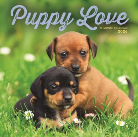 Puppy Love Square Wall Sunday Start Cale