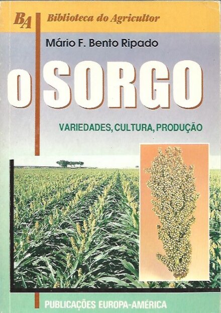 O Sorgo