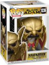 POP Movies: BA-Hawkman