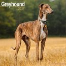 Greyhound SS Wall