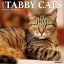Just Tabby Cats 2025 12 X 12 Wall Calendar