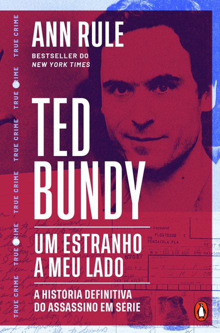 Um Estranho a Meu Lado