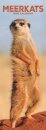 Meerkats  Slim Calendar 2026 Cute Slimline Calendar - 12 Month