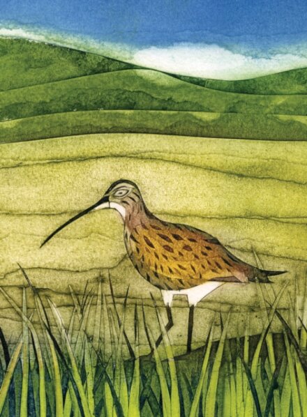 Wild Birds Pocket Notebook: Curlew