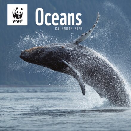 Wwf Oceans Square Wall Calendar 2026