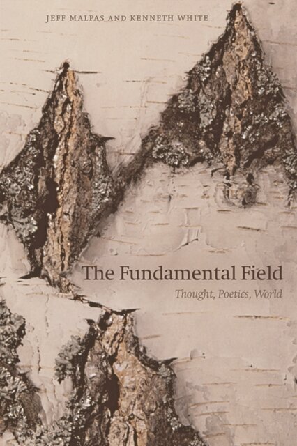 The Fundamental Field