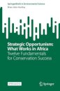 Strategic Opportunism: What Works in Africa