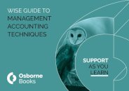 MANAGEMENT ACCOUNTING TECHNIQUES WISEGUIDE