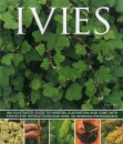 Ivies