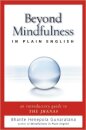 Beyond Mindfulness in Plain English