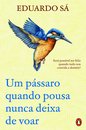 Um pássaro quando pousa nunca deixa de voar