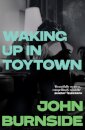 Waking Up in Toytown