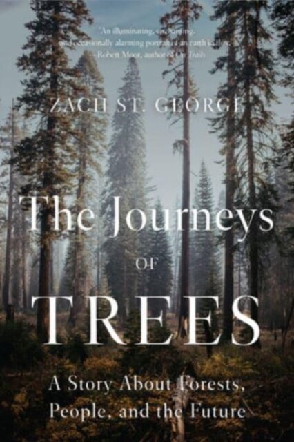 The Journeys of Trees