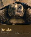 Tortoise - Pet Expert