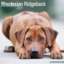Rhodesian Ridgeback Wall