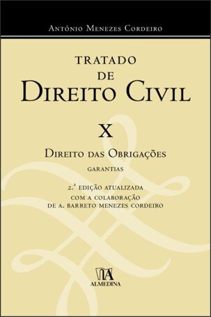 Tratado De Direito Civil Vol. X