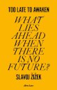 Too Late to Awaken : What Lies Ahead When There is no Future?