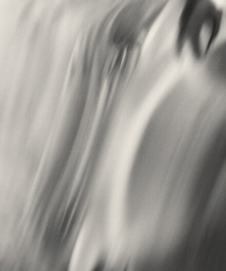 Henry O. Head: Twelve Acres