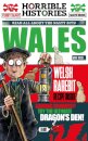 Wales (newspaper edition)