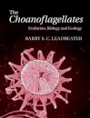 The Choanoflagellates