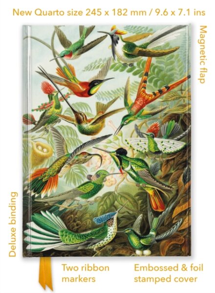 Ernst Haeckel: Hummingbirds (Foiled Quarto Journal)
