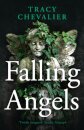 Falling Angels