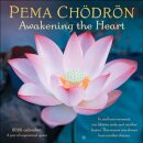 Pema Chodron 2026 Wall Calendar