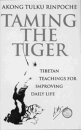 Taming The Tiger
