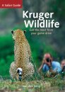 Kruger Wildlife