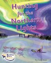 Hunting for the Northern Lights