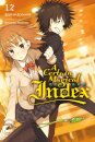 A Certain Magical Index, Vol. 12 (Novel)
