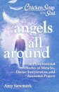 Chicken Soup for the Soul: Angels All Around
