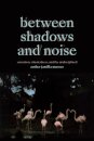 Between Shadows and Noise