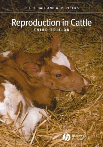 Reproduction in Cattle