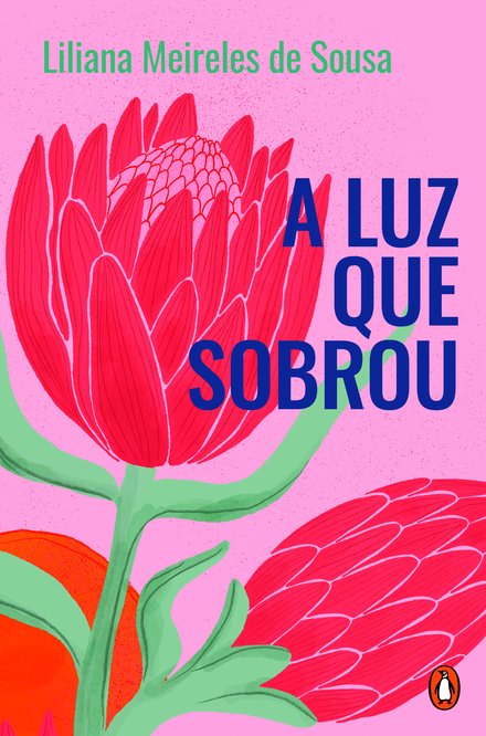 A Luz que Sobrou