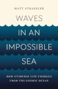 Waves in an Impossible Sea