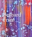 Bernard Frize