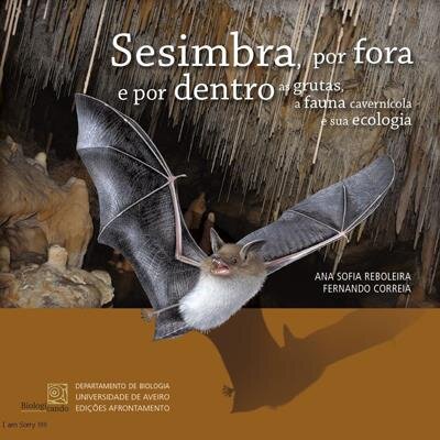 Sesimbra, por fora e por dentro