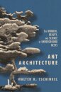 Ant Architecture