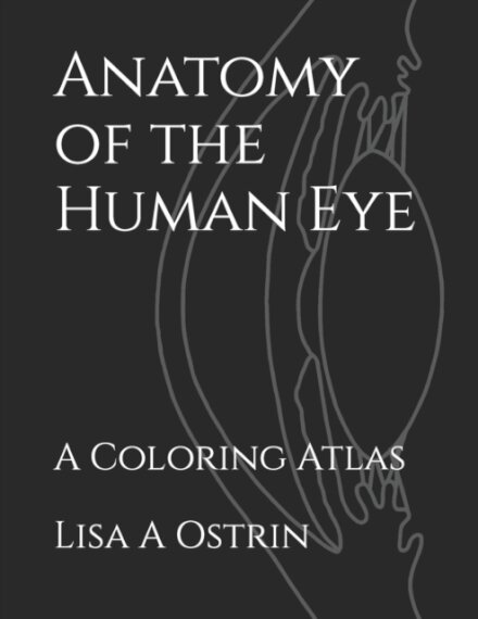 Anatomy of the Human Eye