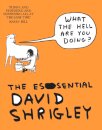 What The Hell Are You Doing?: The Essential David Shrigley