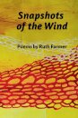 Snapshots of the Wind