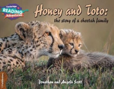 1 Pathfinders Honey and Toto: the story of a cheetah family
