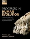 Processes in Human Evolution