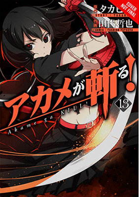 Akame ga KILL!, Vol. 13
