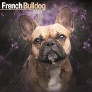 French Bulldog Calendar 2026  Square Dog Breed Wall Calendar - 16 Month
