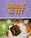 Where Is It?