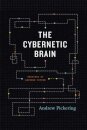 The Cybernetic Brain
