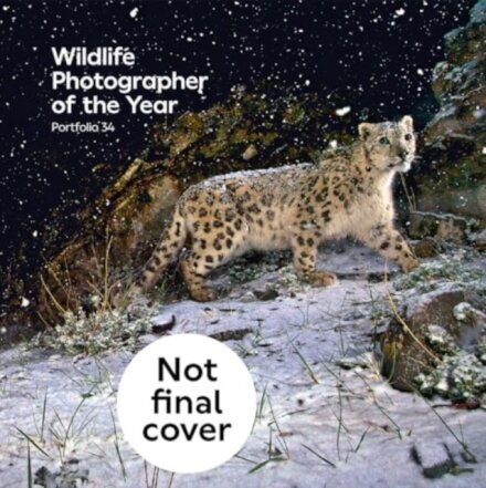 Wildlife Photographer of the Year: Portfolio 34